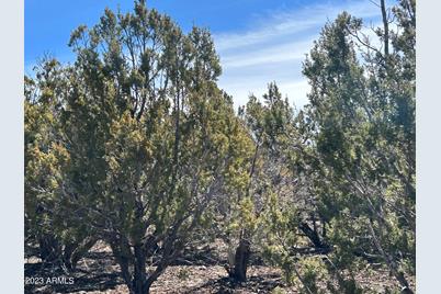 Lot 44 Uphill Trail #44, Vernon, AZ 85940 - Photo 1