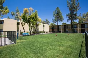 5900 E Thomas Rd, Scottsdale, AZ 85251 - Photo 6