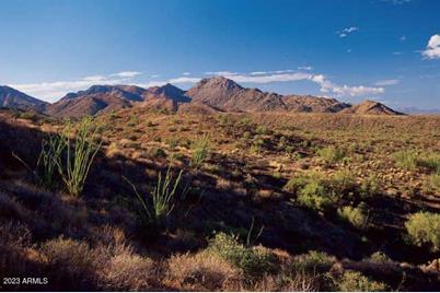 14433 E Desert Tortoise Trail #24, Fountain Hills, AZ 85268 - Photo 1