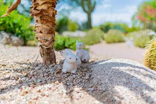 8193 E Sand Flower Dr, Scottsdale, AZ 85266 - Photo 98