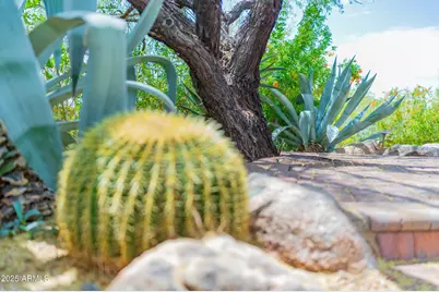 8193 E Sand Flower Drive, Scottsdale, AZ 85266 - Photo 84