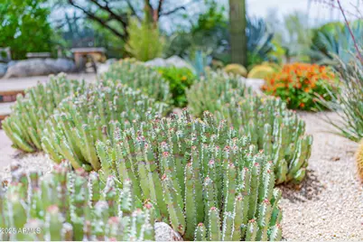 8193 E Sand Flower Drive, Scottsdale, AZ 85266 - Photo 96
