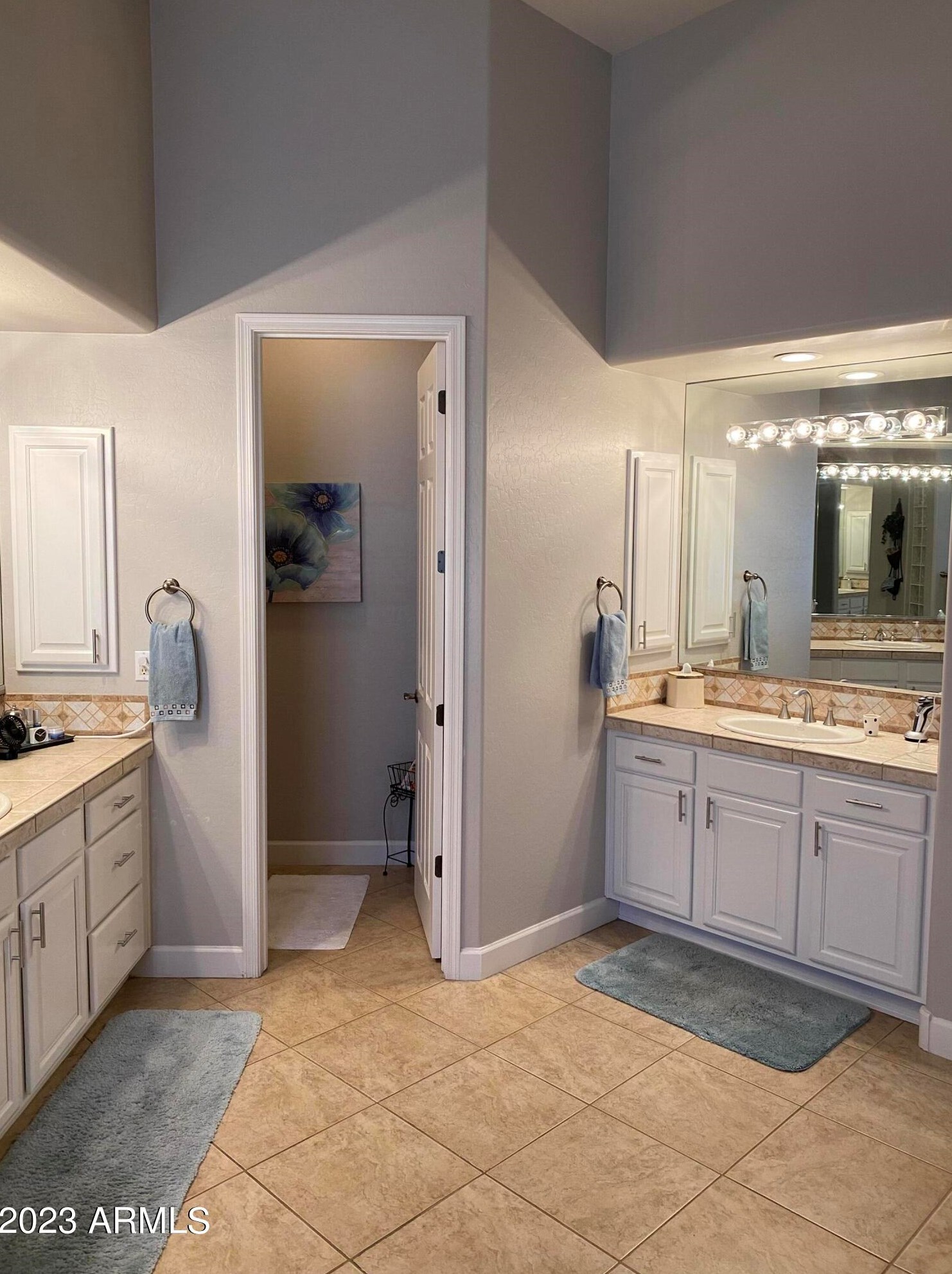 1727 Yosemite Pl, Chandler AZ 85248-4872 exterior