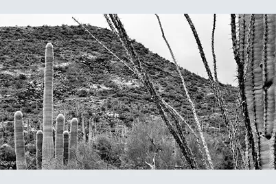 7Xxx E Highland Road E #-, Cave Creek, AZ 85331 - Photo 16