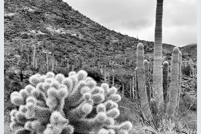 7Xxx E Highland Road E #-, Cave Creek, AZ 85331 - Photo 12