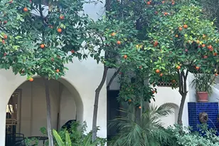 5200 S Lakeshore Dr, Tempe, AZ 85283 - Photo 28