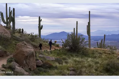 11784 N 110th Place, Scottsdale, AZ 85259 - Photo 58