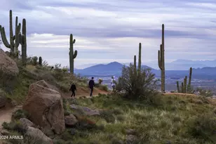 11784 N 110th Pl, Scottsdale, AZ 85259 - Photo 58
