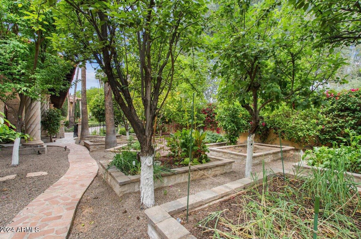 6107 Paradise Dr, Scottsdale AZ 85260-5433 exterior