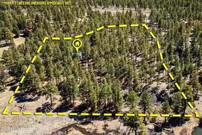 9 County Road N1029 --, Greer, AZ 85927 - Photo 2