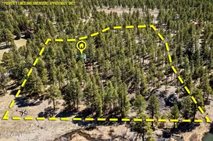 9 County Road N1029 --, Greer, AZ 85927 - Photo 2