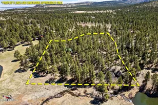 9 County Road N1029 --, Greer, AZ 85927 - Photo 2