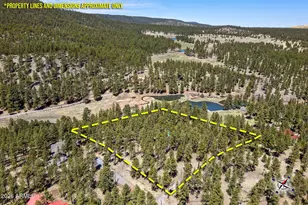 9 County Road N1029 --, Greer, AZ 85927 - Photo 2