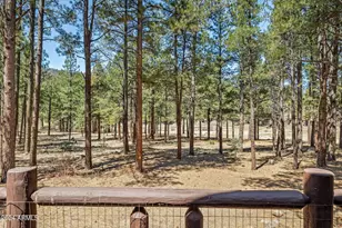 9 County Road N1029 --, Greer, AZ 85927 - Photo 14