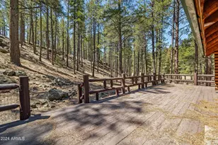 9 County Road N1029 --, Greer, AZ 85927 - Photo 16