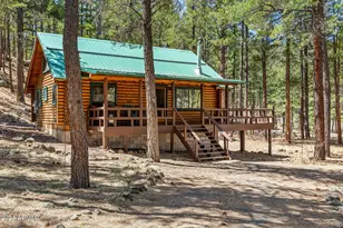 9 County Road N1029 --, Greer, AZ 85927 - Photo 12