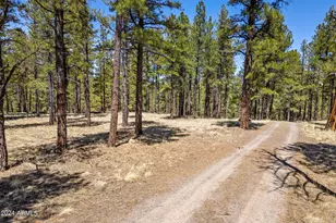 9 County Road N1029 --, Greer, AZ 85927 - Photo 8