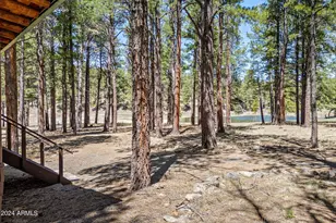 9 County Road N1029 --, Greer, AZ 85927 - Photo 18