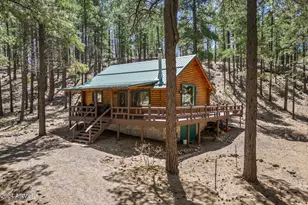 9 County Road N1029 --, Greer, AZ 85927 - Photo 10