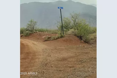Ccc S Buckeye Apache C Road #9, Bowie, AZ 85605 - Photo 4