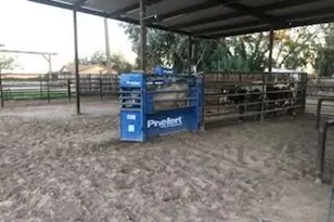 642 E Cornman Rd, Coolidge, AZ 85128 - Photo 54