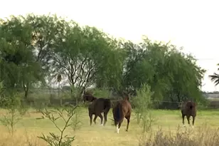 642 E Cornman Rd, Coolidge, AZ 85128 - Photo 34