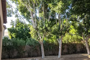 15151 N 100th Way, Scottsdale, AZ 85260 - Photo 24