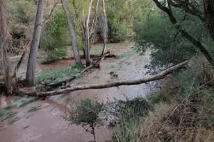 1388 E Cottonwood Ln, Huachuca City, AZ 85616 - Photo 28