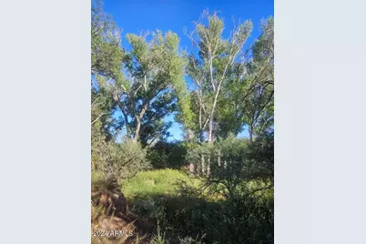 1388 E Cottonwood Lane, Huachuca City, AZ 85616 - Photo 16