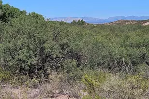 1388 E Cottonwood Ln, Huachuca City, AZ 85616 - Photo 30