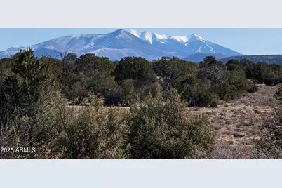 5733 W Clove Hitch Road #356, Williams, AZ 86046 - Photo 1