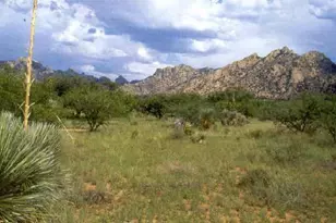 000 E Cougar Trail, Saint David, AZ 85630 - Photo 1