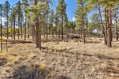 14638 E Keith Drive #4, Parks, AZ 86018 - Photo 24