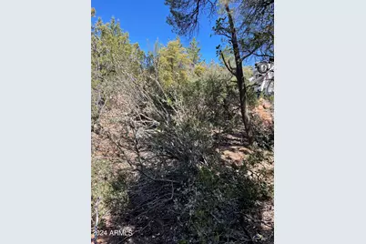 9 Lodgepole Circle #9, Pine, AZ 85544 - Photo 6