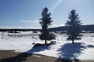 8950 W Antoinette Way, Flagstaff, AZ 86001 - Photo 102