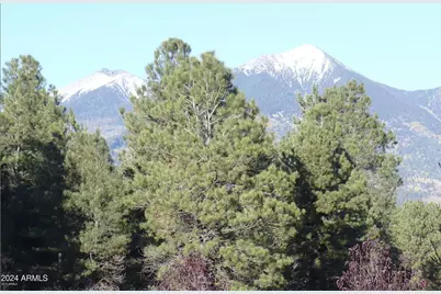 8950 W Antoinette Way, Flagstaff, AZ 86001 - Photo 98