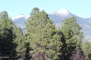 8950 W Antoinette Way, Flagstaff, AZ 86001 - Photo 98