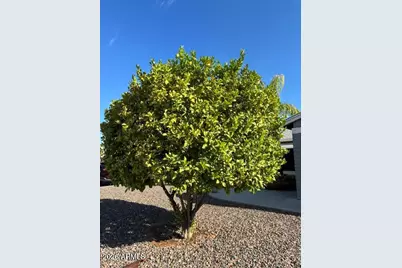 903 S 78th Place, Mesa, AZ 85208 - Photo 40