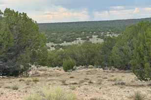 171 E Witch Well Ranches --, Saint Johns, AZ 85936 - Photo 1