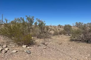 26113 N 113th Ave, Peoria, AZ 85383 - Photo 4