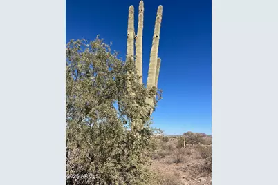 26113 N 113th Avenue #-, Peoria, AZ 85383 - Photo 1