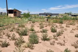 610 S 11th Pl W, Saint Johns, AZ 85936 - Photo 6