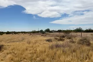 22695 E Cactus Forest Rd, Florence, AZ 85132 - Photo 40