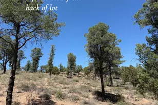 1115 N Scenic Dr, Payson, AZ 85541 - Photo 8