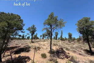 1115 N Scenic Dr, Payson, AZ 85541 - Photo 12