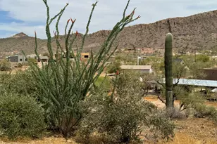 42213 N 3rd St, Phoenix, AZ 85086 - Photo 34