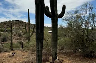 42213 N 3rd St, Phoenix, AZ 85086 - Photo 44