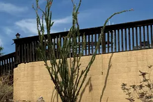 42213 N 3rd St, Phoenix, AZ 85086 - Photo 36