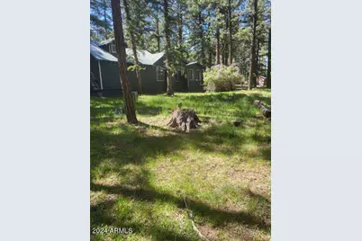 6 County Road 1007 -- #6, Greer, AZ 85927 - Photo 14