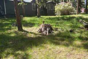 6 County Road 1007 --, Greer, AZ 85927 - Photo 14